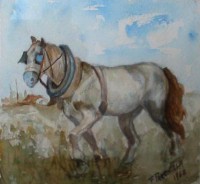 /album/animali/a62006-cavallo-cm-15x16-jpg1/